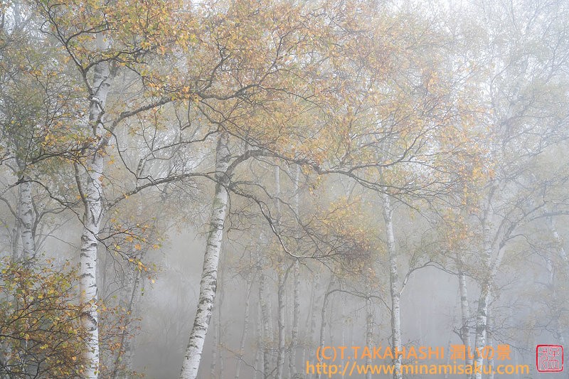 ../Images/7R251019 (78).jpg